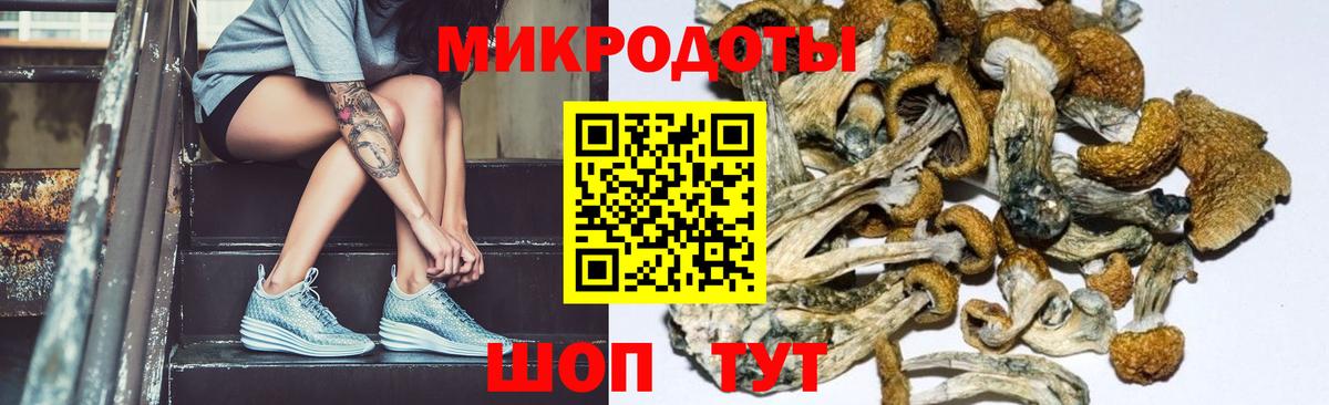Галлюциногенные грибы GOLDEN TEACHER  Вход с VPN  Волжск 